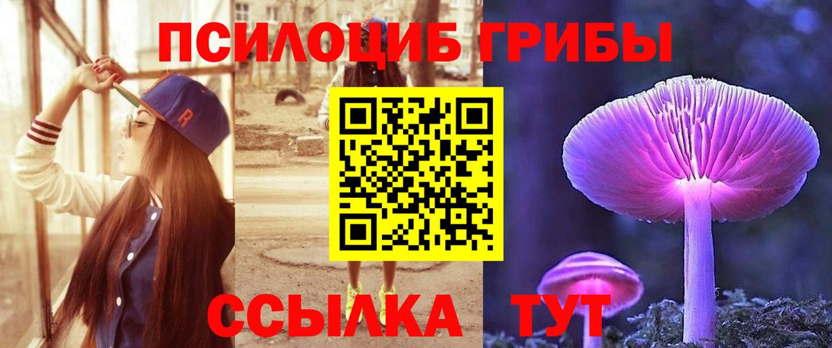 Галлюциногенные грибы мицелий  Вход с VPN  Дивногорск 